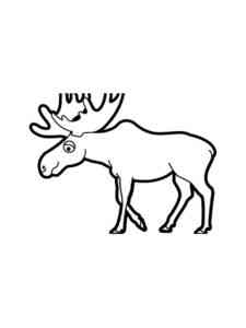 Sad Elk coloring page