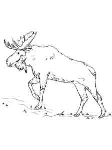 Simple Realistic Elk coloring page