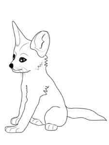 Fennec Fox Sitting coloring page