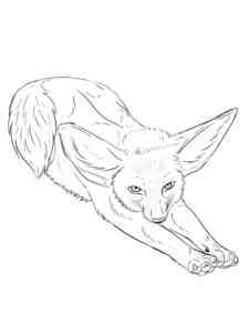 Fennec Fox lying down coloring page