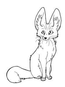 Beautiful Fennec Fox coloring page