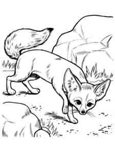 Fennec Fox sneaks coloring page