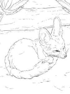 Fennec Fox curled up in a ball coloring page