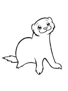 Smiling Cute Ferret coloring page