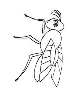 Cartoon Fly 2 coloring page