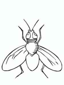 Fly 3 coloring page