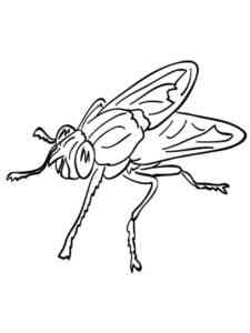 Fly 2 coloring page