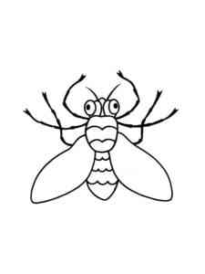 Fly 1 coloring page