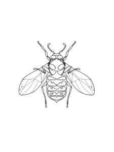 Fly coloring page for Kids