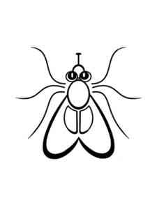 Little Fly coloring page
