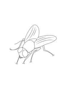 Easy Fly coloring page