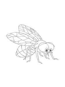 Sad Fly coloring page