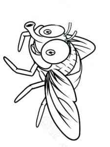 Funny Cartoon Fly coloring page