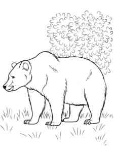 Easy Forest Bear coloring page