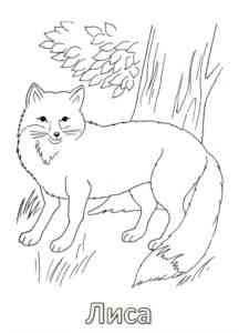 Fox in the Forest coloring page