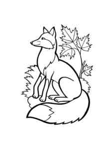 Fox with leaves coloring page