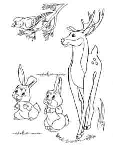 Deer and Hares coloring page