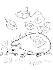 Cute Forest Hedgehog coloring page