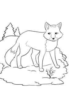Simple Red Fox coloring page