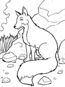 Cartoon Red Fox coloring page