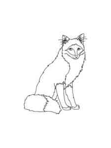 Simple Fox coloring page