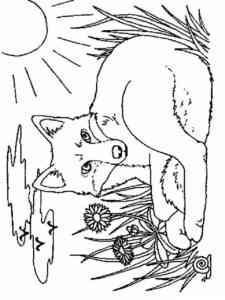 Realistic Red Fox coloring page