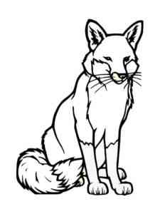Fox sitting coloring page