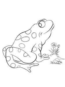 Easy Frog coloring page