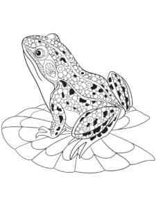 Antistress Frog coloring page