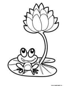 Frog on lily pad coloring page