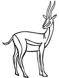 Easy Gazelle coloring page