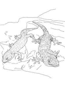 Two Geckos coloring page
