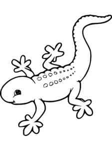 Cute Gecko coloring page