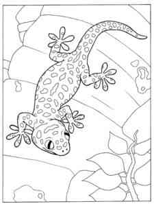 Lizard Leopard Gecko coloring page