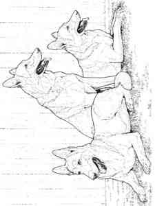 Three German Shepherds coloring page