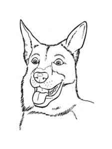 Head German Shepherd coloring page