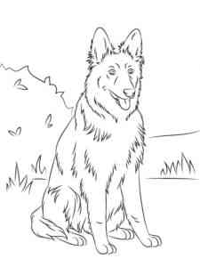 Realistic German Shepherd coloring page
