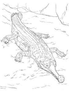 Gavial coloring page