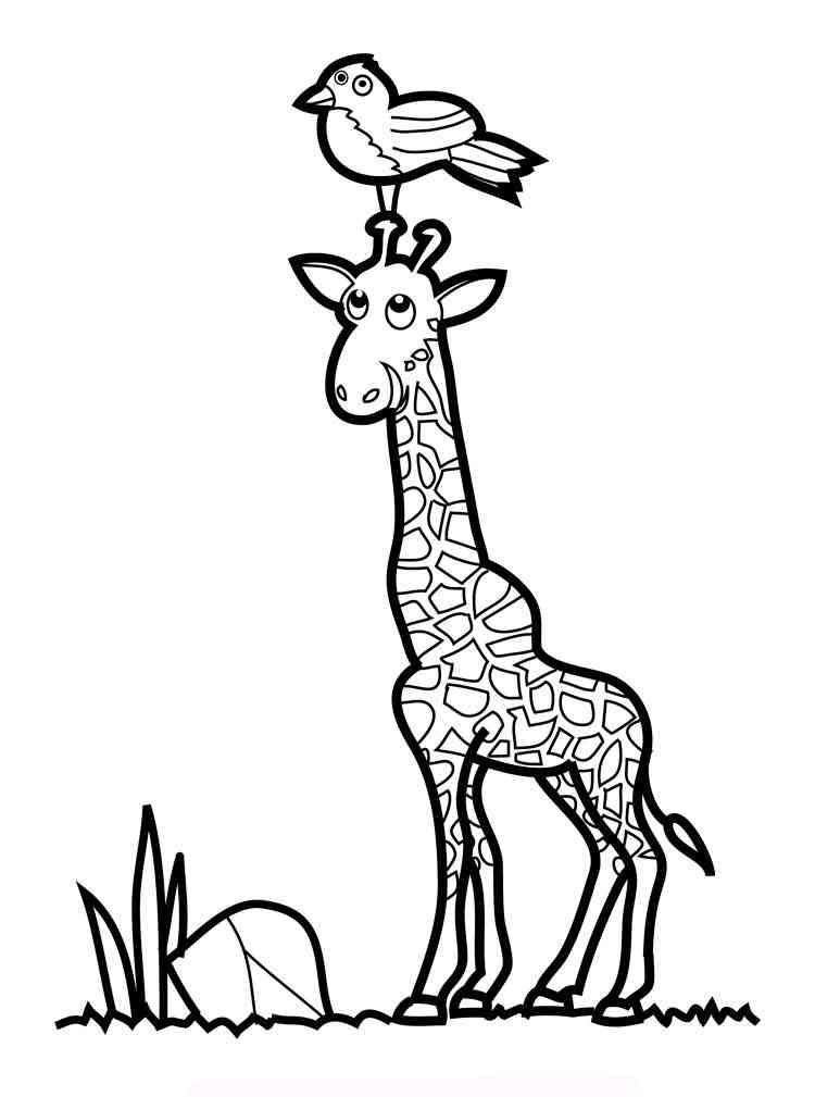 Giraffe and Bird coloring page
