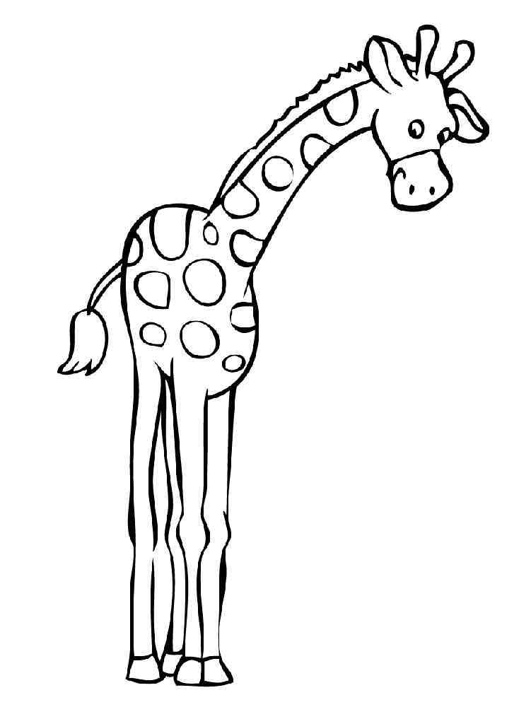 Long Legged Giraffe coloring page