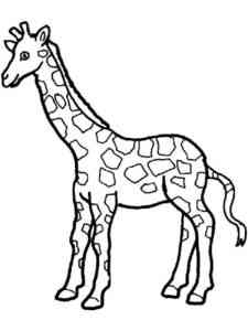 Common Giraffe coloring page