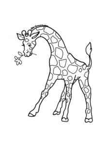 Giraffe with flower coloring page