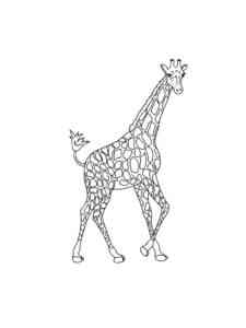 Walking Giraffe coloring page