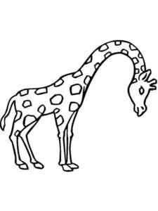 Easy Pretty Giraffe coloring page