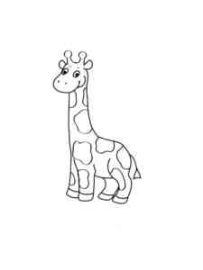 Easy Giraffe coloring page