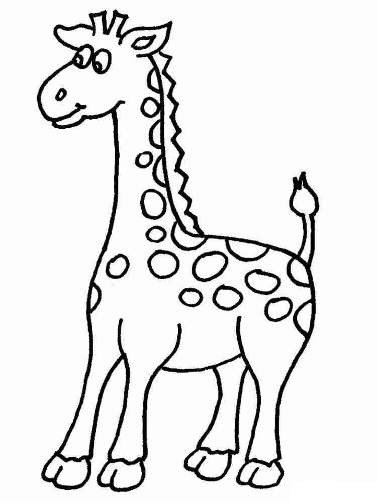 Young Giraffe coloring page