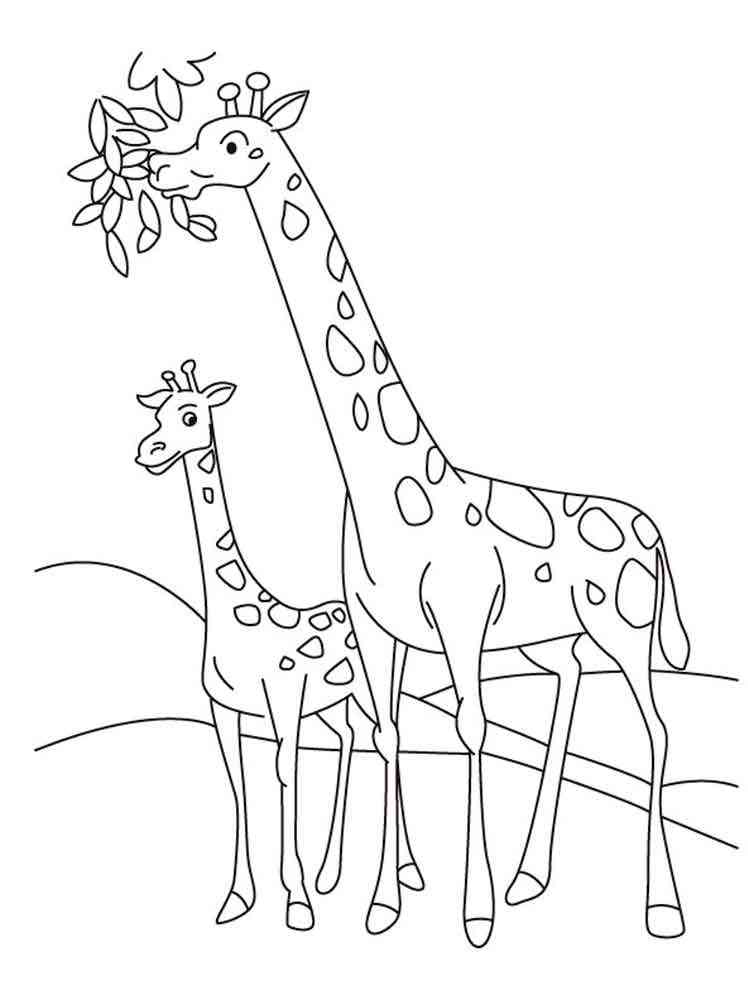 Baby Giraffe and Mother coloring page