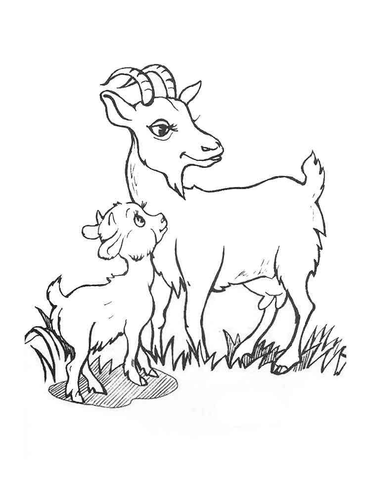 Mother Goat and cub coloring page