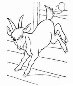 Goat jumps coloring page