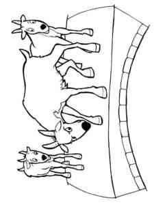 Three Goats coloring page